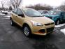 2014 GOLD FORD ESCAPE S (1FMCU0F78EU) with an 2.5L engine, Automatic transmission, located at 501 E. Columbia St., Springfield, OH, 45503, (800) 262-7122, 39.925262, -83.801796 - ***Clean Carfax***New Front and Rear Pads and Rotors***S 2.5L***Serviced and Detailed*** Jay North Auto has offered hand picked vehicles since 1965! Our customer's enjoy a NO pressure buying experience with a small town feel. All of our vehicles get fully inspected and detailed. We are a prefe - Photo#2