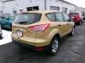 2014 GOLD FORD ESCAPE S (1FMCU0F78EU) with an 2.5L engine, Automatic transmission, located at 501 E. Columbia St., Springfield, OH, 45503, (800) 262-7122, 39.925262, -83.801796 - ***Clean Carfax***New Front and Rear Pads and Rotors***S 2.5L***Serviced and Detailed*** Jay North Auto has offered hand picked vehicles since 1965! Our customer's enjoy a NO pressure buying experience with a small town feel. All of our vehicles get fully inspected and detailed. We are a prefe - Photo#3