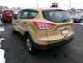 2014 GOLD FORD ESCAPE S (1FMCU0F78EU) with an 2.5L engine, Automatic transmission, located at 501 E. Columbia St., Springfield, OH, 45503, (800) 262-7122, 39.925262, -83.801796 - ***Clean Carfax***New Front and Rear Pads and Rotors***S 2.5L***Serviced and Detailed*** Jay North Auto has offered hand picked vehicles since 1965! Our customer's enjoy a NO pressure buying experience with a small town feel. All of our vehicles get fully inspected and detailed. We are a prefe - Photo#5